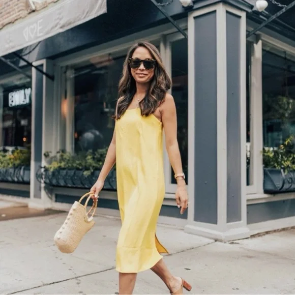 Everlane Dresses Everlane Japanese Go Weave Midi Cami Slip